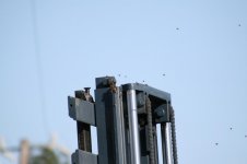 04-12-07 Bees 010 (Large).jpg