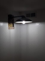 20210725_095659.jpg