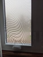 PXL_20210726_113836484.jpg