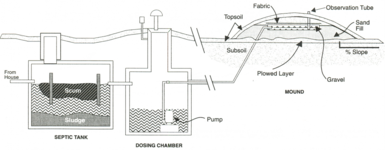 AEX_744_Figure1.png