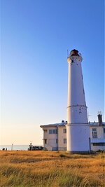 20210728_205322-XL.jpg