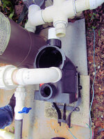 New Pool Pump 3.jpg New Pool Pump 3.jpg