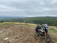 IMG_2349-XL.jpg