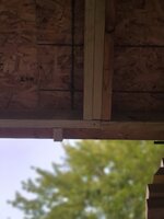 20210813_194708.jpg