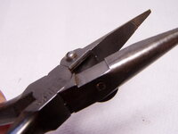 P1010003.JPG