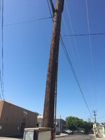 IMG_8693.JPG