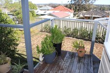 IMG_0765.jpg