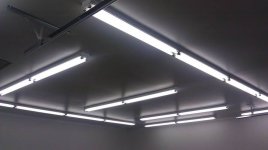 Lights1.jpg