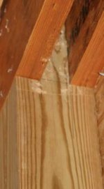 doorresize6.jpg