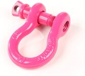 PinkShackles.jpg