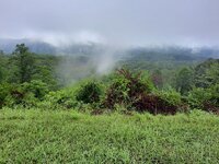 Lookout Parkway 1.jpg
