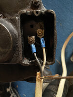 IMG_0599.jpeg