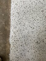 9F759A01-E1E5-4AD3-8C42-479C852270C6.jpeg