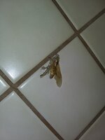 20210910_171916.jpg