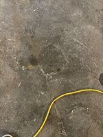 IMG_1383.jpg IMG_1383.jpg