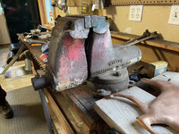 IMG_1170.jpeg