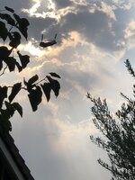 A9B71FD0-1F24-4C25-9910-6CD0734B01D2.jpeg