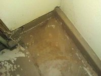 cracked concrete2.jpg