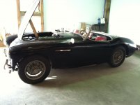 Healey.ID.Photo 009 (Medium).jpg