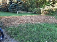 stump patch.jpg stump patch.jpg