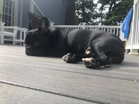 IMG_6842.jpeg