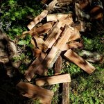 20211006_123027.jpg