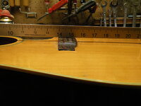 DSCN8436.jpg