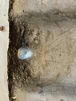 IMG_2532.jpeg
