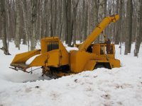 IMG_1200.jpg