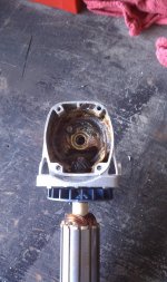 IMAG0322.jpg