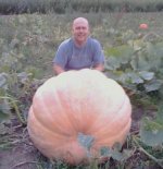 pumpkin.jpg