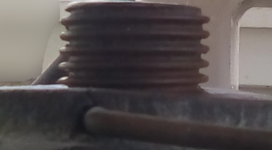 Denture.png