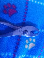 20211015_132217.jpg