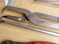 P1010007.JPG