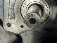 IMG_2995.jpeg