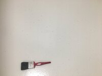 0633EBAE-6B5E-4233-A55F-480B231D9AAC.jpeg 0633EBAE-6B5E-4233-A55F-480B231D9AAC.jpeg