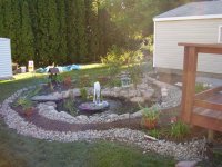 POND3.jpg