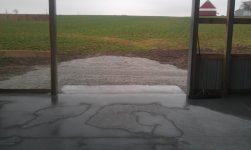 IMAG0428.jpg