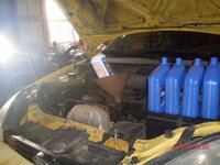 GEDC0828.JPG