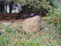 IMG_20211030_102200.jpg