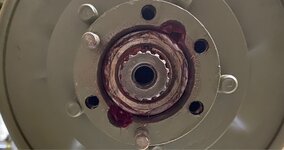 CC_3380.jpg