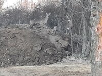 big pile 1.jpg