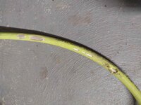 WasherHose.jpg WasherHose.jpg