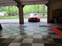 IMG_4432.jpg