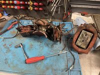 IMG_3816.jpeg IMG_3816.jpeg