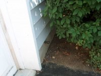 outside dump.jpg