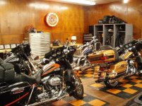 P2290010a.JPG