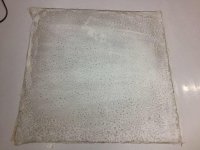 Floor_3wks1.jpg
