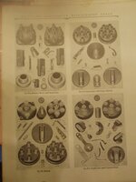1925 Gilfillan Bros parts catalog pp a.jpg 1925 Gilfillan Bros parts catalog pp a.jpg