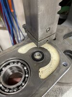 IMG_4024.jpeg